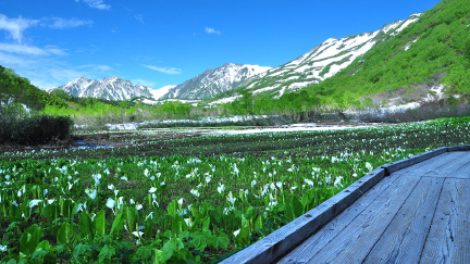 栂池自然園（つがいけしぜんえん）