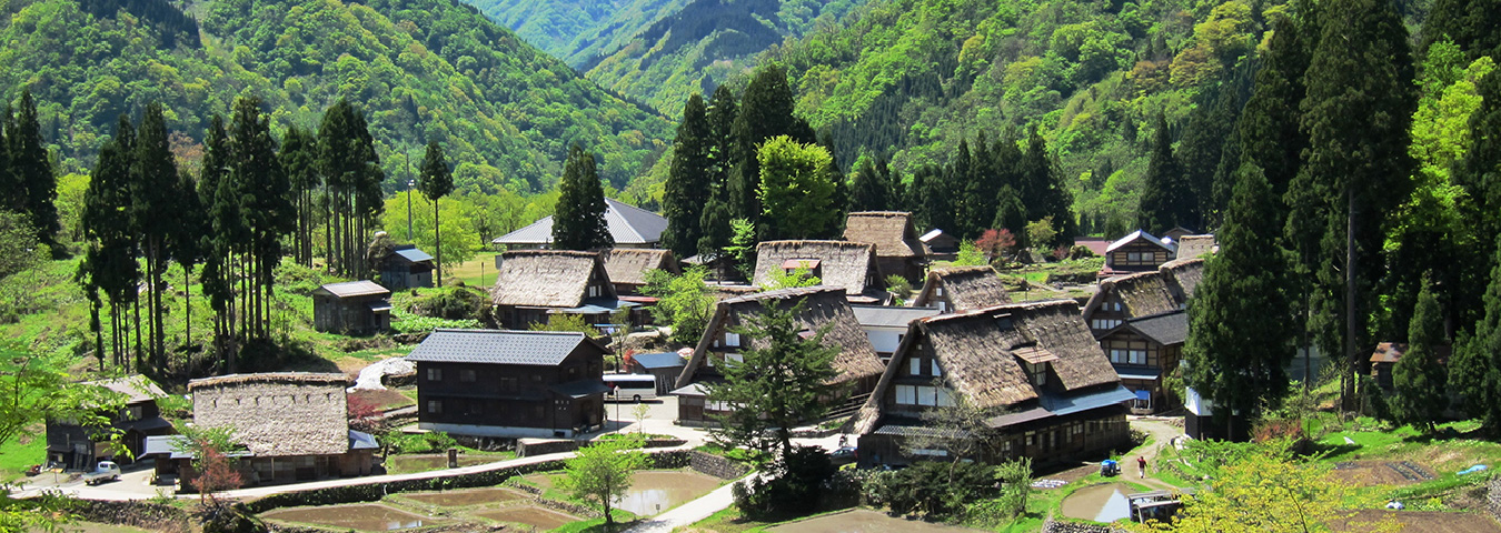 豊かな海の恵みに舌鼓を打ち、山奥の秘境を訪ねて