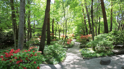 かんてんぱぱガーデン