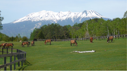 開田高原／木曽馬の里 乗馬センター