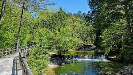 赤沢自然休養林／赤沢森林鉄道