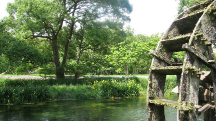 大王わさび農場