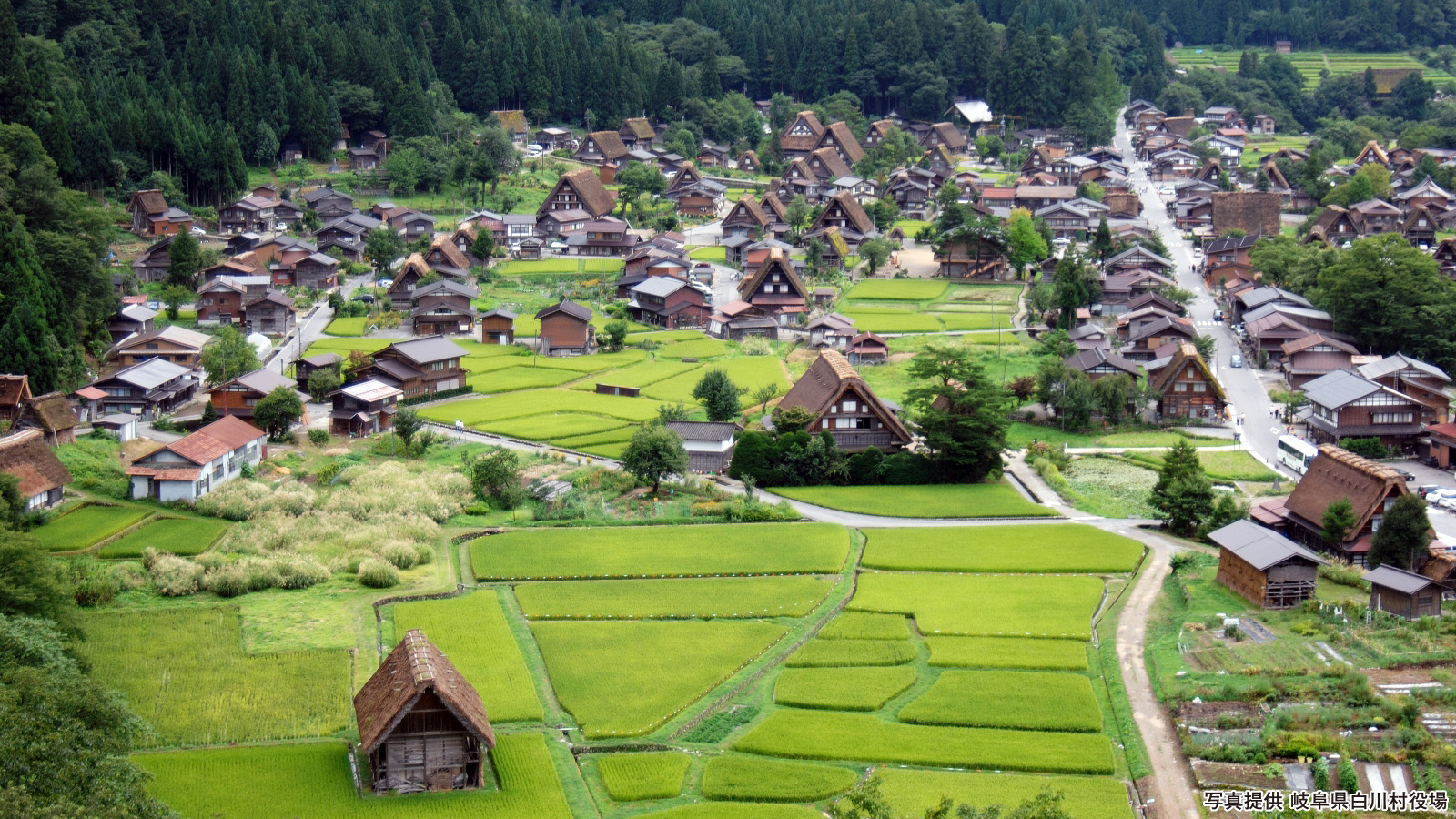 【白川郷】城山天守閣展望台