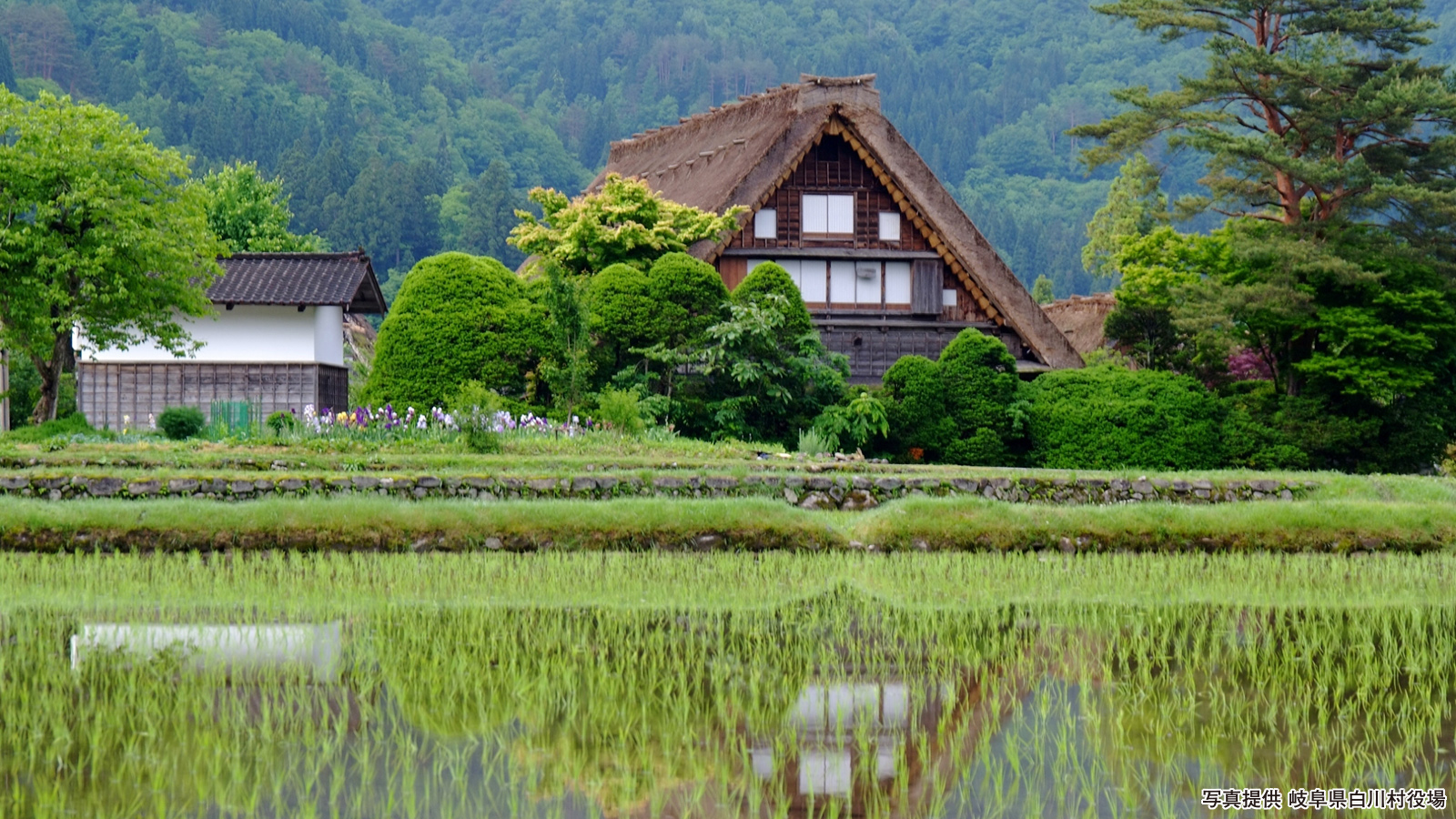 【白川郷】和田家
