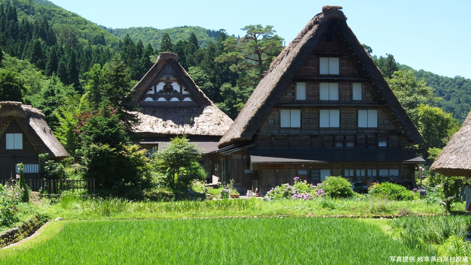 【白川郷】明善寺郷土館