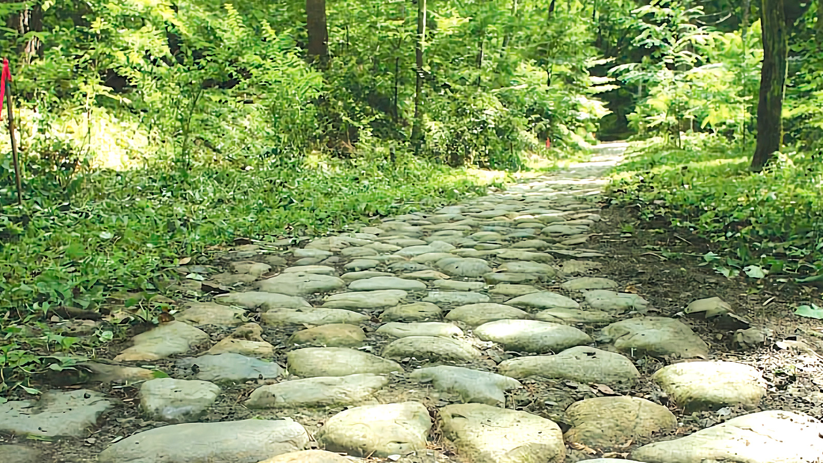 【奈良井・薮原】鳥居峠
