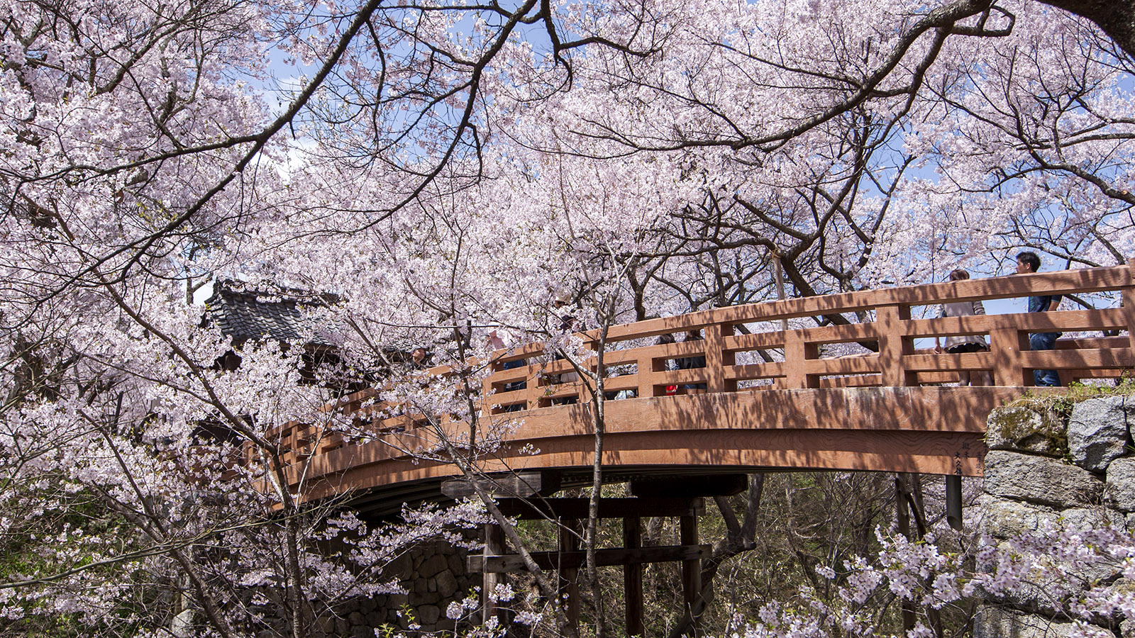 【上伊那】高遠城址公園