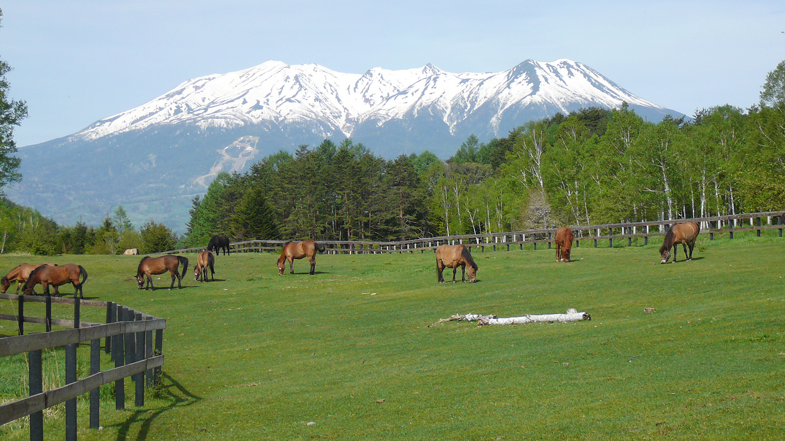 【木曽福島】開田高原／木曽馬の里 乗馬センター