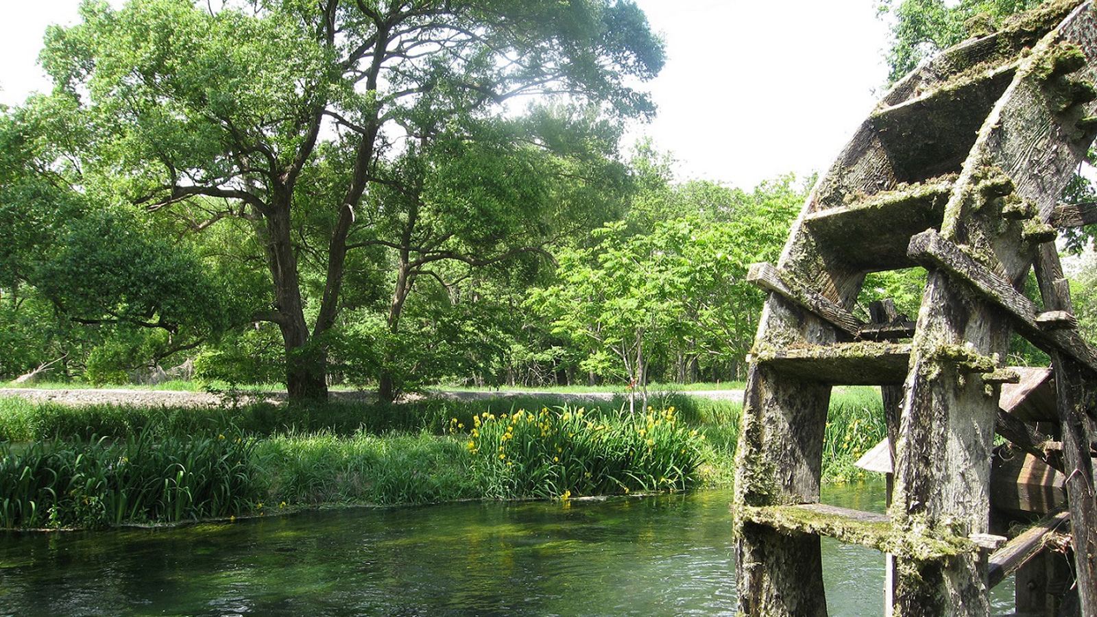 【松本周辺】大王わさび農場