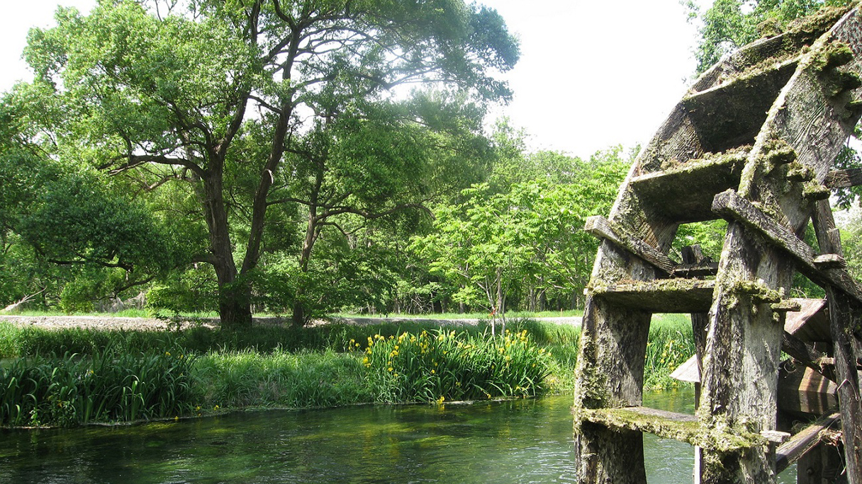 大王わさび農場