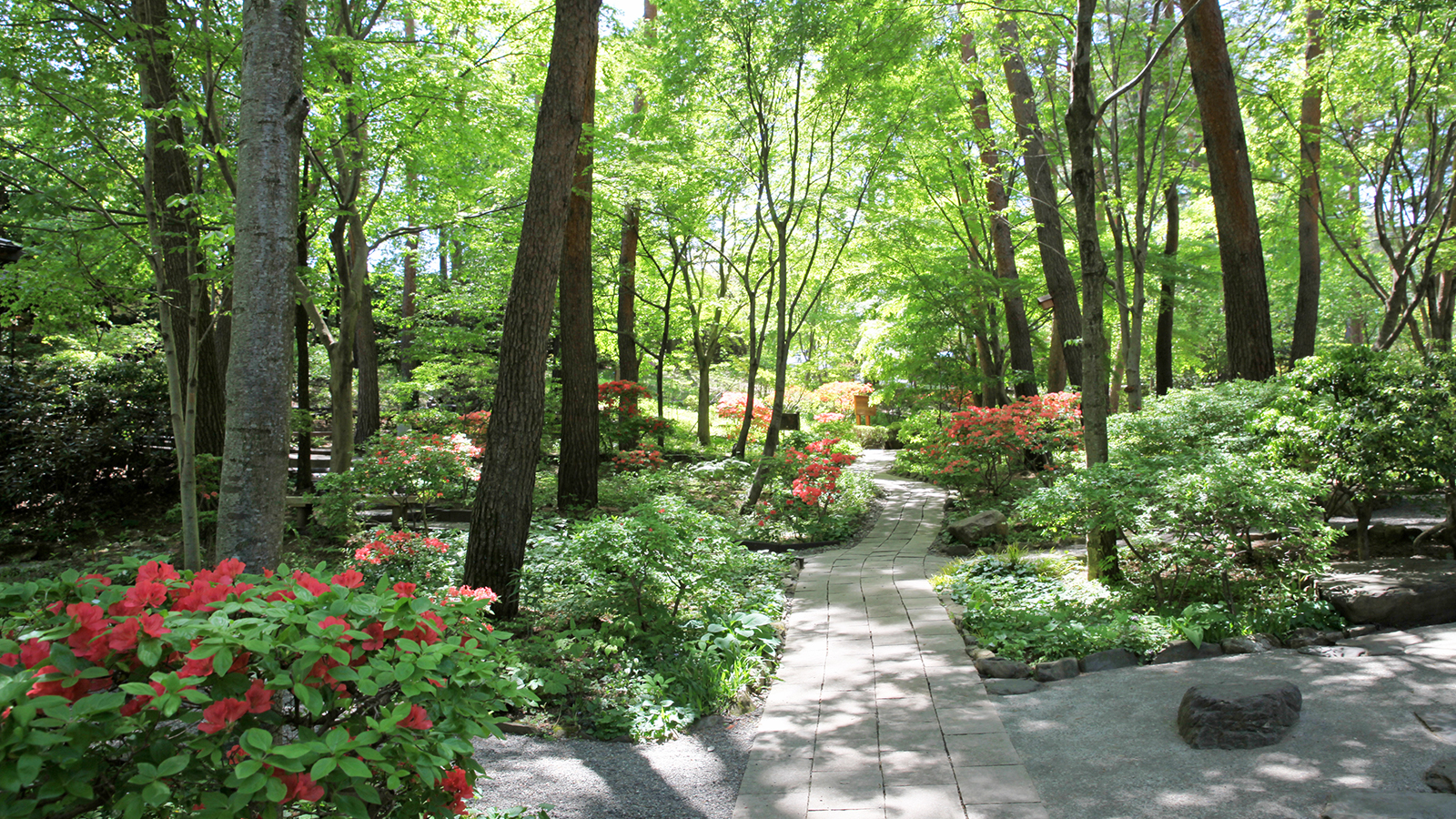 【上伊那】かんてんぱぱガーデン