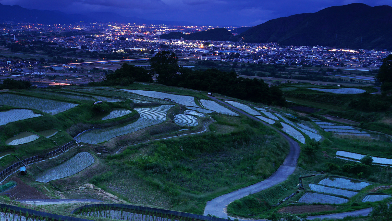 【長野周辺】姨捨の棚田