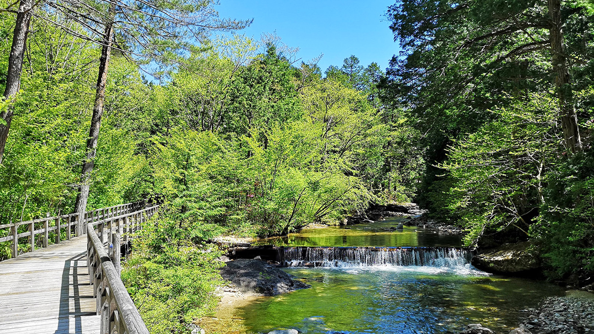 赤沢自然休養林／赤沢森林鉄道
