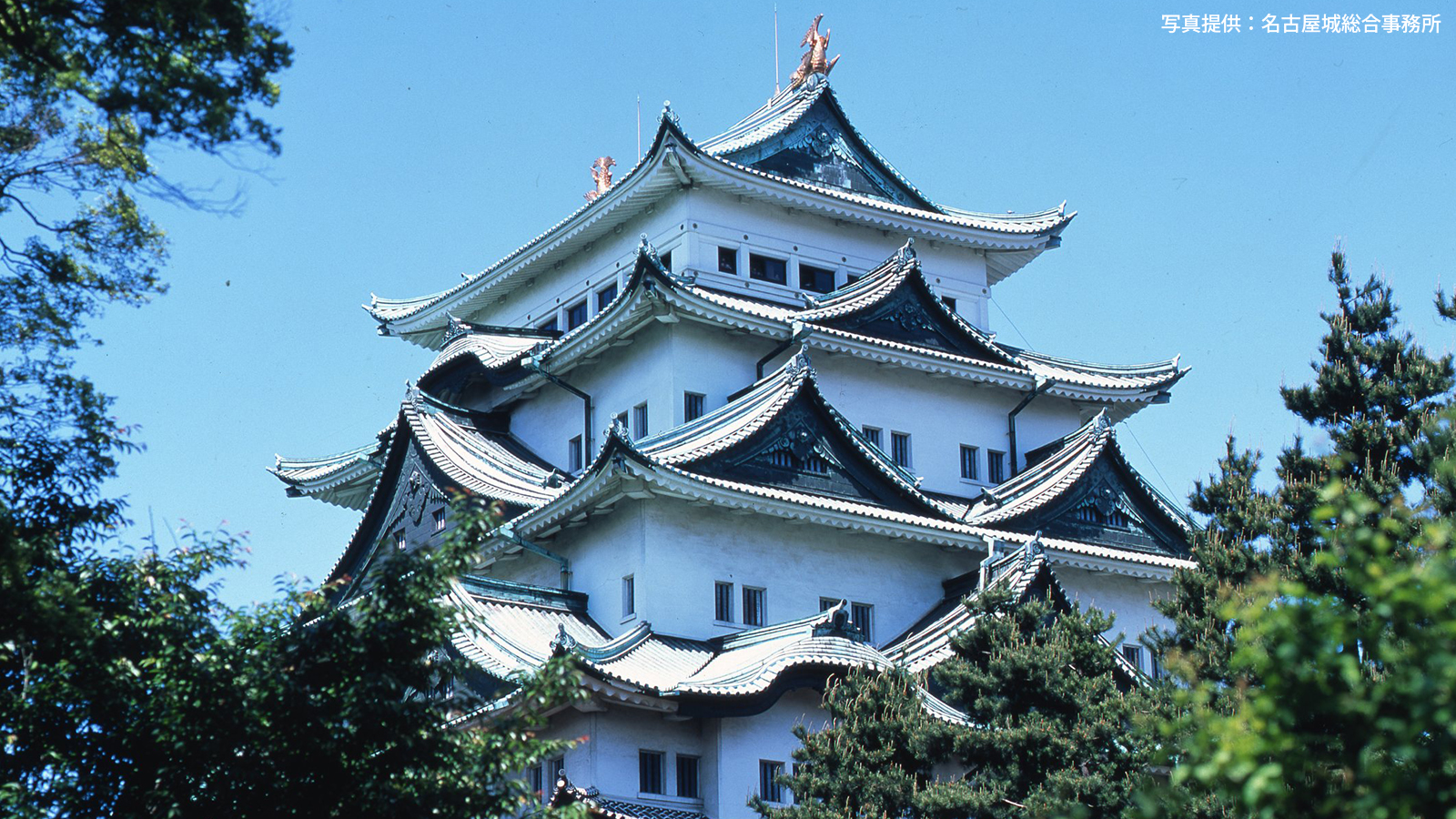 名古屋城天守閣