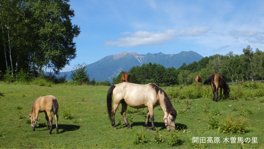 開田高原 木曽馬の里